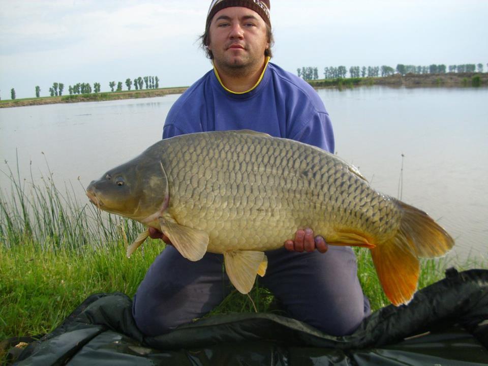 CONCURS LIKE-URI  - VOT PE FACEBOOK  - Muresan Vlad